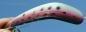 Preview: Hockey Stick, Größe: 3 (8.5 cm), Farbe: Rainbow-Trout on Chrome von Gibbs Delta